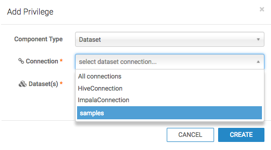 Selecting Connection for Dataset Privileges