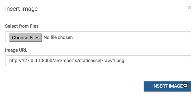 inserting a static asset image