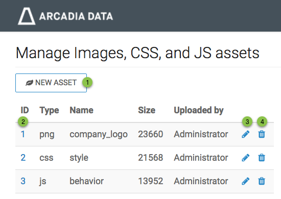 Manage static assets interface