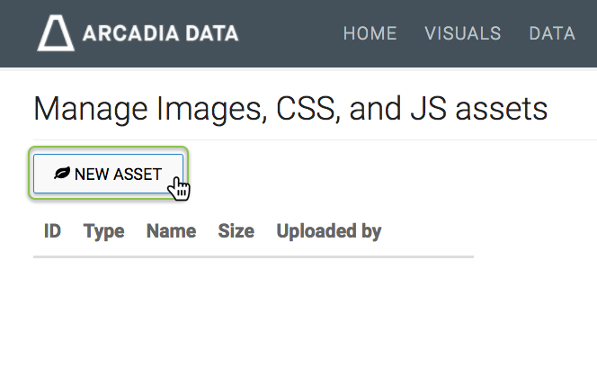 Manage Images, CSS, and JS assets, empty, New Asset button (active), and a list of assets (empty)