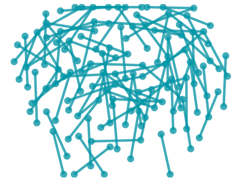 network visual