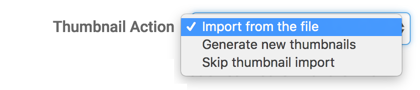 Choosing the thumbnail handling for importing visual artifacts