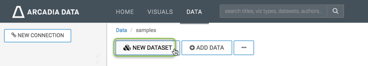 Clicking the New Dataset button